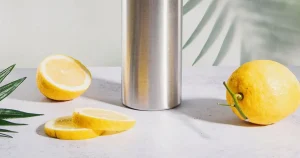 Can You Put Lemon in a Stainless Steel Water Bottle