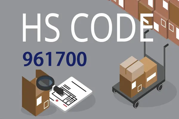 Use Correct HS Codes 961700